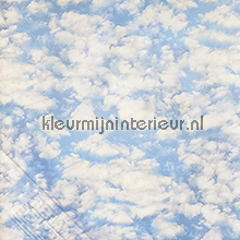 Wolken fotobehang ML213 Bossen Behang Expresse